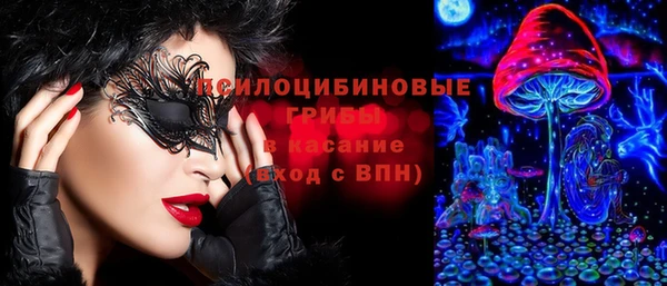 винт Чекалин