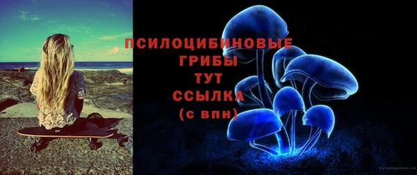 метадон Гусев